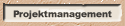 Projektmanagement